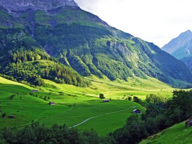 Sernftal vadisinde alp mera ve çayırlar-Uri Kantonu, Isviçre