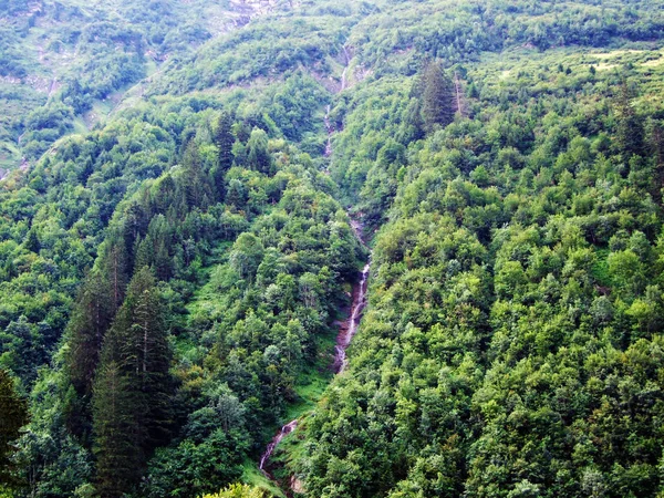 Сезонные Водопады Притоках Реки Ецбах Альпийской Долине Лох Кантон Гларус — стоковое фото