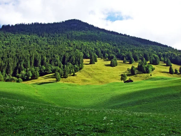 Alpages Prairies Dans Vallée Sernftal Canton Uri Suisse — Photo