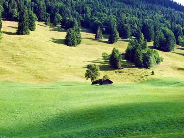 Sernftal 계곡에 목초지와 스위스 — 스톡 사진