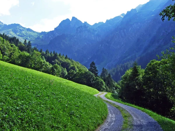 Альпийские Пастбища Луга Долине Сернфталь Кантон Ури Швейцария — стоковое фото