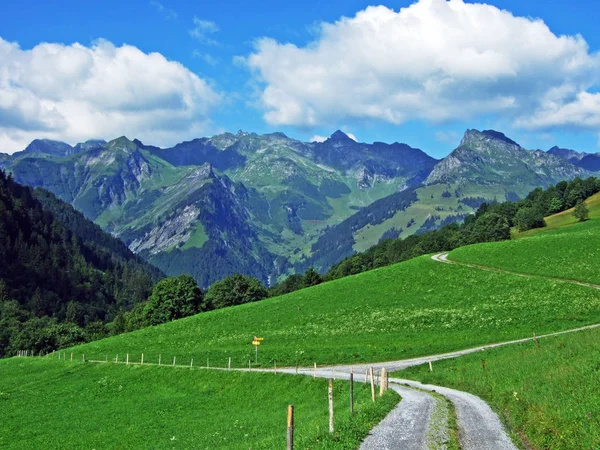 Alpesi Legelők Rétek Sernftal Ben Uri Canton Svájc — Stock Fotó