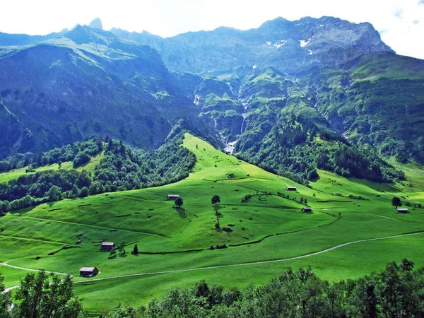 Alpejskie Pastwiska Łąki Dolinie Sernftal Kanton Uri Szwajcaria — Zdjęcie stockowe