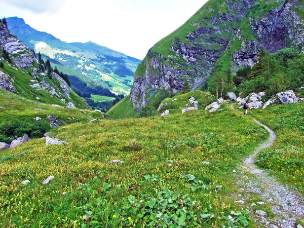 Almen Und Wiesen Sernftal Kanton Uri Schweiz — Stockfoto