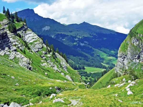 Sernftal Vadisinde Alp Mera Çayırlar Uri Kantonu Isviçre — Stok fotoğraf