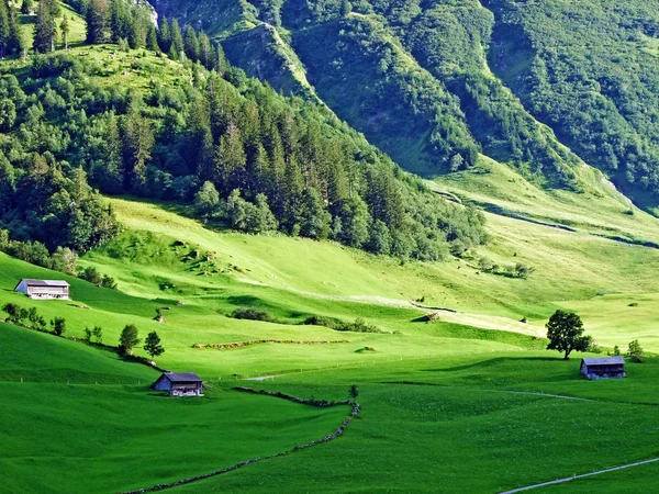 Alpejskie Pastwiska Łąki Dolinie Sernftal Kanton Uri Szwajcaria — Zdjęcie stockowe