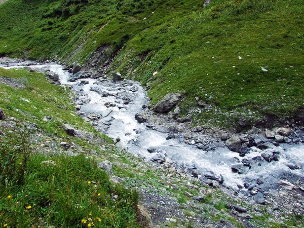 Mitteleggbach Струмок Wichlen Альпійські Долини Гуанчжоу Gllus Швейцарія — стокове фото