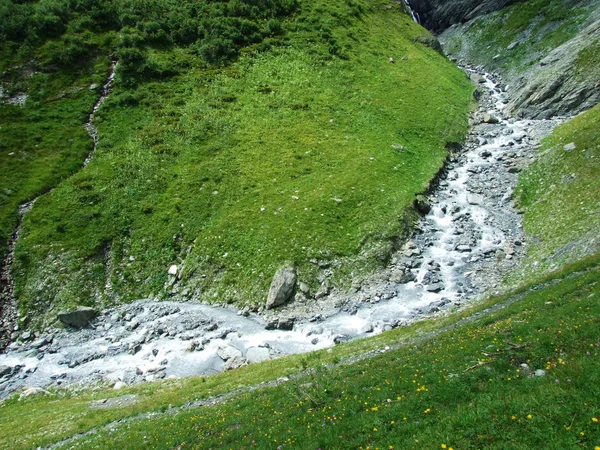 Bystřin Mitteleggbach Wichlen Alpine Valley Kantonu Glarus Švýcarsko — Stock fotografie
