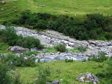 Mattbach akışı Wichlen Alp Vadisi - Canton Glarus, İsviçre