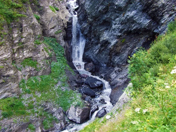 Cachoeiras Riacho Mitteleggbach Vale Alpino Wichlen Cantão Glarus Suíça — Fotografia de Stock