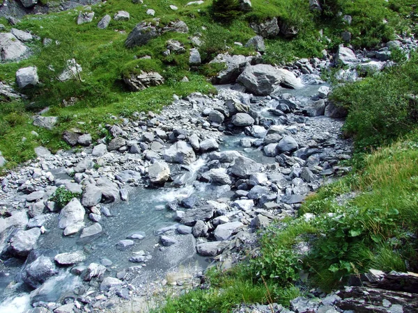 Mattbach Akışı Wichlen Alp Vadisi Canton Glarus Sviçre — Stok fotoğraf