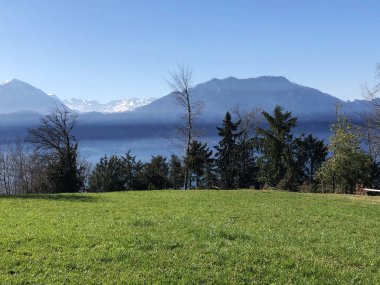 Bahar otlak ve çayır Mount Rigi - Canton, Lucerne, İsviçre (Kanton Luzern, Schweiz eteklerinde)