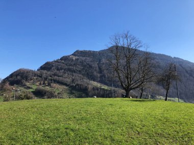 Bahar otlak ve çayır Mount Rigi - Canton, Lucerne, İsviçre (Kanton Luzern, Schweiz eteklerinde)