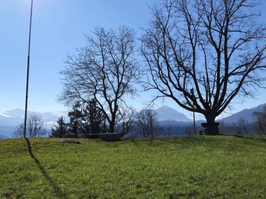 Bahar otlak ve çayır Mount Rigi - Canton, Lucerne, İsviçre (Kanton Luzern, Schweiz eteklerinde)