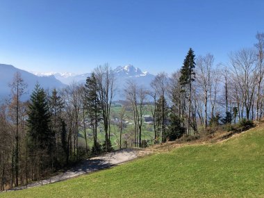 Bahar otlak ve çayır Mount Rigi - Canton, Lucerne, İsviçre (Kanton Luzern, Schweiz eteklerinde)