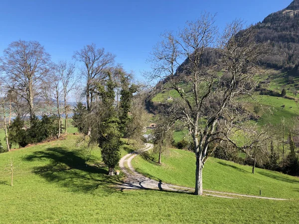 春の牧草地とカントンのルツェルン スイス カントン ルツェルン スイスのリギ山の斜面の牧草地 — ストック写真