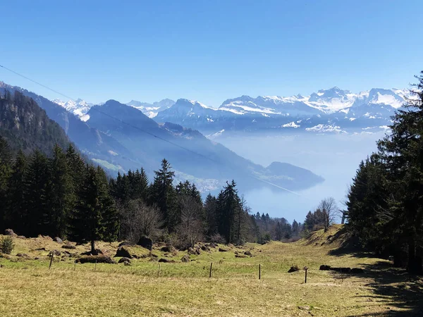 Vista Del Lago Lucerna Vierwaldstatersee Los Alpes Suizos Fondo Desde — Foto de Stock