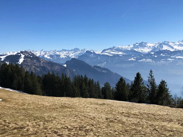 Pohled Lucernské Jezero Vierwaldstatersee Švýcarské Alpy Pozadí Hory Rigi Kanton — Stock fotografie