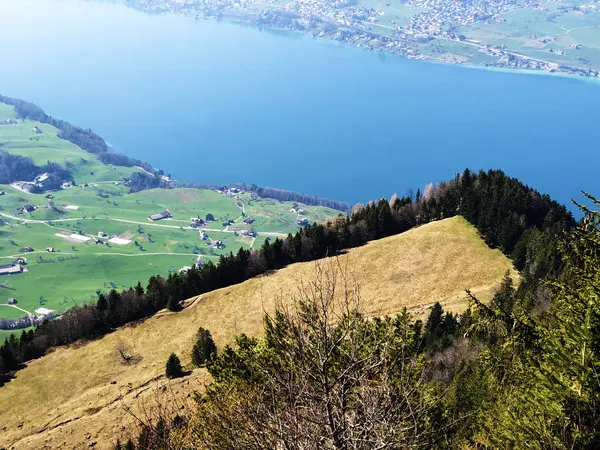 Vista Lago Kussnachtersee Lago Lucerna Lago Dos Quatro Assentamentos Florestais — Fotografia de Stock