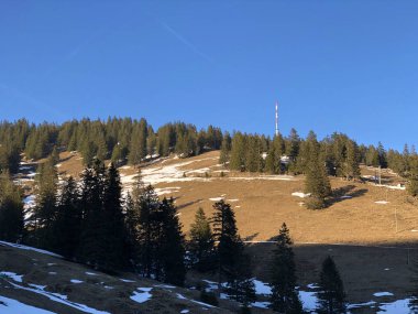 Tepe Rigi Kulm Dört kanton Gölü (dört ormanlık yerleşim veya Vierwaldstattersee göl) ve göl Zug (Zugersee) - Kanton Schwyz, İsviçre