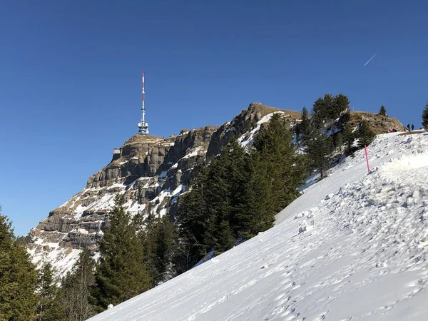 卢塞恩湖 四个森林定居点湖或 Vierwaldstattersee 附近的 Rigi Kulm Zug 祖格迪迪湖 Schwyz — 图库照片