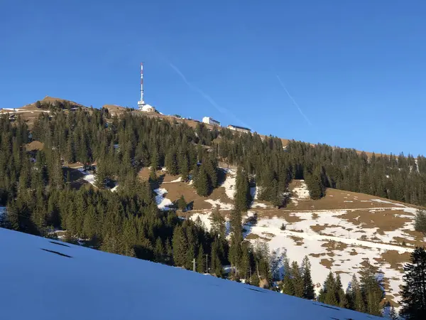 Tepe Rigi Kulm Dört Kanton Gölü Dört Ormanlık Yerleşim Veya — Stok fotoğraf