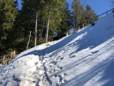 Kar örtüsü Mount Rigi ve Alp manzara erken Bahar - Lucerne Kanton ve Schwyz, İsviçre