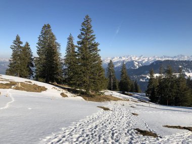 Kar örtüsü Mount Rigi ve Alp manzara erken Bahar - Lucerne Kanton ve Schwyz, İsviçre