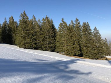 Kar örtüsü Mount Rigi ve Alp manzara erken Bahar - Lucerne Kanton ve Schwyz, İsviçre