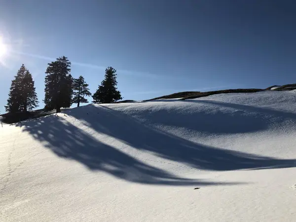 Sněhová Pokrývka Hoře Rigi Alpské Krajiny Předjaří Kantonů Luzern Schwyz — Stock fotografie