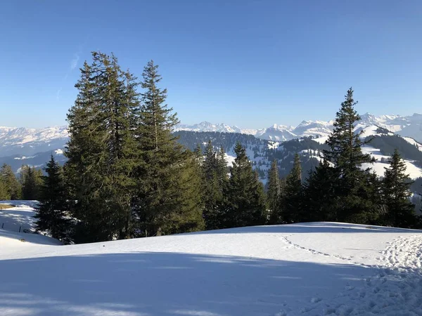 Обкладинка Снігу Горі Rigi Альпійським Ландшафтам Початку Весни Кантонів Люцерна — стокове фото