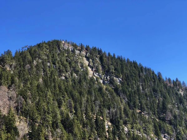 Horní Pohledu Chanzeli Hoře Rigi Poblíž Lucernského Jezera Vierwaldstatersee Jezero — Stock fotografie