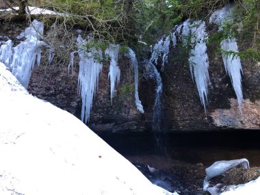Bahar şelale altında Rigi Kulm tepe ve kolu Rigiaa akarsu - Kanton Schwyz, İsviçre