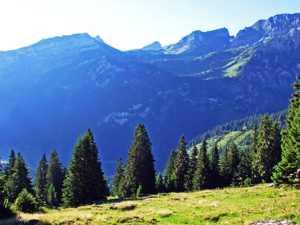 沃拉尔普湖上方和 Alviergruppe 山脉的阿尔卑斯山峰 Margelchopf 瑞士圣加仑州 — 图库照片