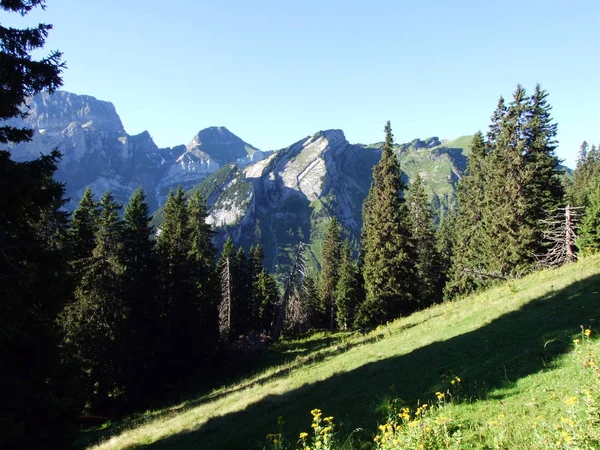 Alpské Vrcholy Forenchopf Foerenchopf Hochst Nebo Hoechst Nad Jezerem Voralpsee — Stock fotografie