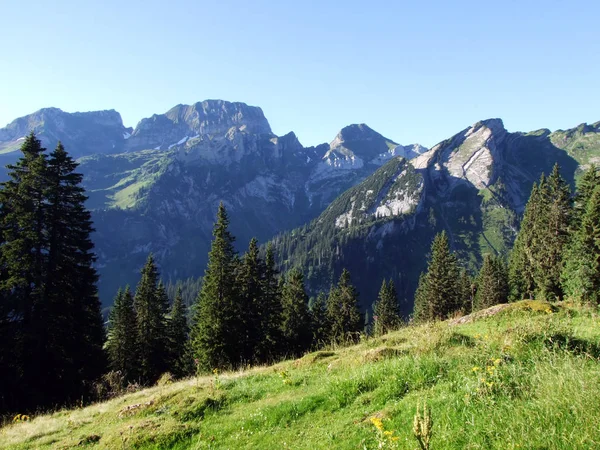 Alpengipfel Forenchopf Oder Foerenchopf Und Hochst Oder Hoechst Über Dem — Stockfoto