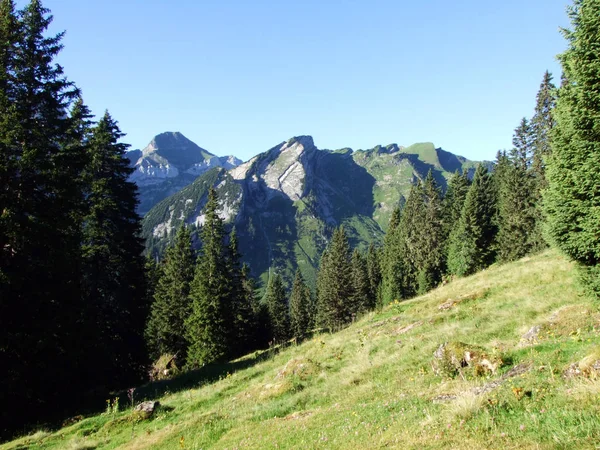 Forenchopf または Foerenchopf Hochst またはヘキスト Voralpsee Alviergruppe ザンクト ガレンのカントン スイス連邦共和国のためにアルプス山脈 — ストック写真