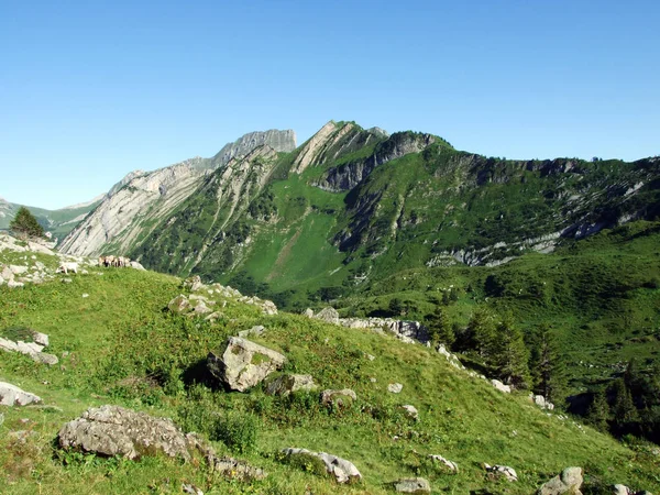 Alpské Vrcholy Forenchopf Foerenchopf Hochst Nebo Hoechst Nad Jezerem Voralpsee — Stock fotografie