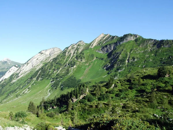 Alpine Pieken Forenchopf Foerenchopf Hochst Hoechst Boven Het Voralpsee Meer — Stockfoto