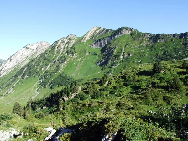 Альпийские Вершины Forenchopf Foerenchopf Hochst Hoechst Над Озером Voralpsee Горной — стоковое фото