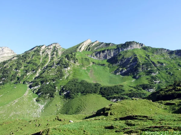 Dağ Doruklarına Forenchopf Foerenchopf Hochst Höchst Yukarıda Voralpsee Gölü Alviergruppe — Stok fotoğraf