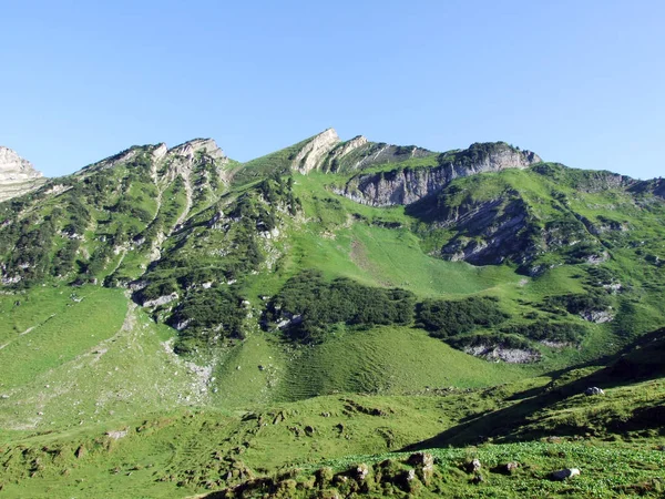 Alpesi Csúcsok Forenchopf Vagy Foerenchopf Hochst Vagy Hoechst Voralpsee Felett — Stock Fotó