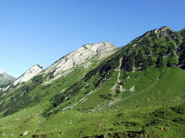 Alpine Pieken Forenchopf Foerenchopf Hochst Hoechst Boven Het Voralpsee Meer — Stockfoto