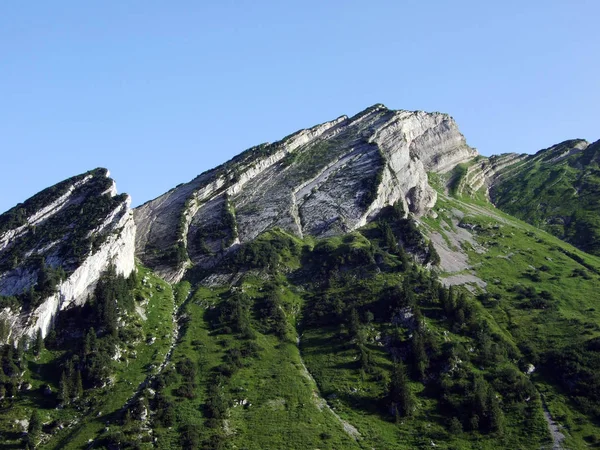 Alpes Forenchopf Foerenchopf Hochst Hoechst Acima Lago Voralpsee Cordilheira Alviergruppe — Fotografia de Stock