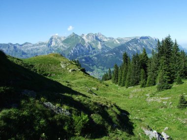Ağaçlar ve Alviergruppe dağ silsilesi - Canton St. Gallen, İsviçre eteklerinde herdem yeşil ormanlar