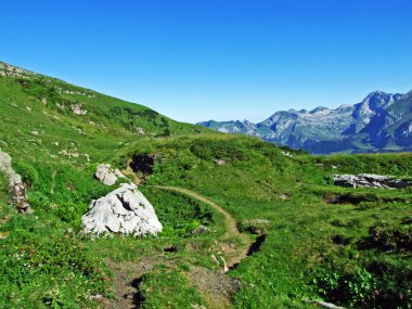 Alpine mera ve çayırlar Alviergruppe dağ silsilesi - Canton St. Gallen, İsviçre eteklerinde