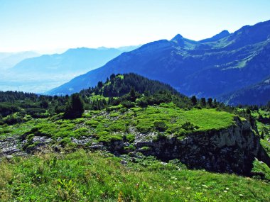 Alpine mera ve çayırlar Alviergruppe dağ silsilesi - Canton St. Gallen, İsviçre eteklerinde