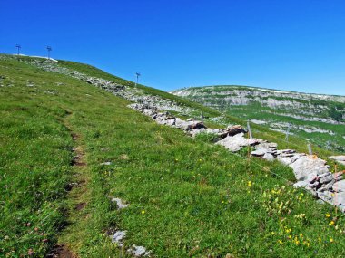 Alpine mera ve çayırlar Alviergruppe dağ silsilesi - Canton St. Gallen, İsviçre eteklerinde