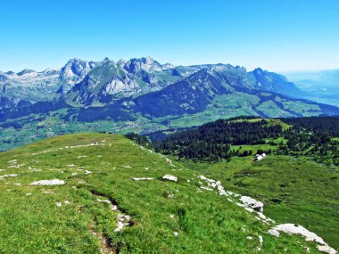 Alpine mera ve çayırlar Alviergruppe dağ silsilesi - Canton St. Gallen, İsviçre eteklerinde