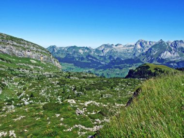Alpine mera ve çayırlar Alviergruppe dağ silsilesi - Canton St. Gallen, İsviçre eteklerinde